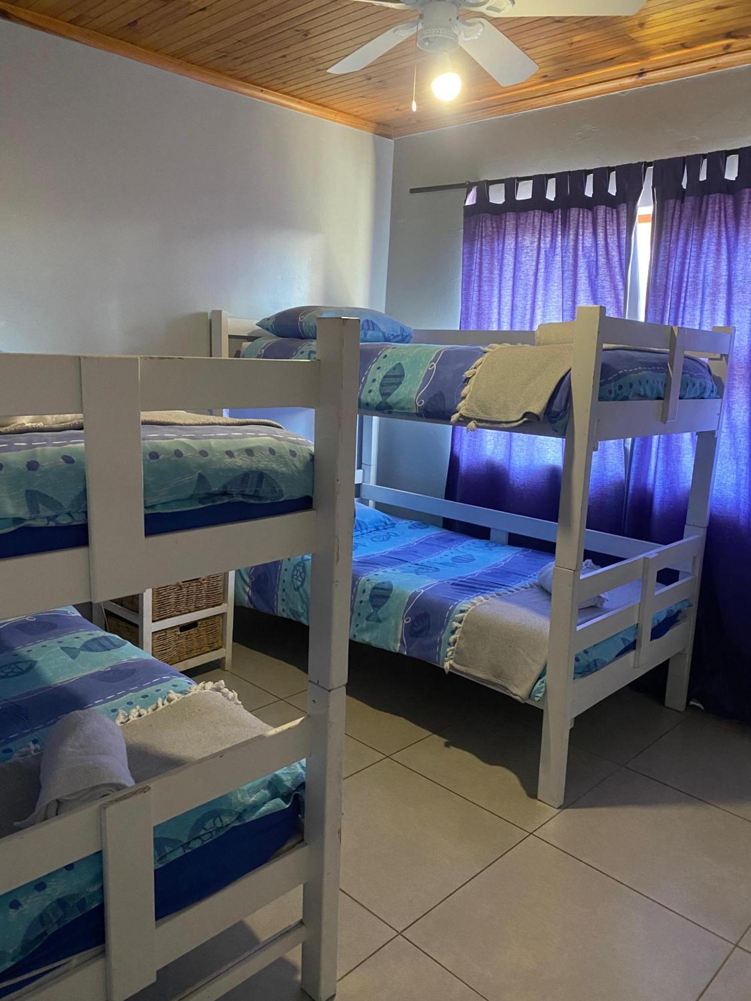 Adventure House - Colchester - 5Km From Elephant Park Buitenkant foto