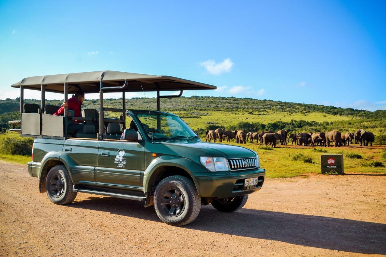 Adventure House - Colchester - 5Km From Elephant Park Buitenkant foto